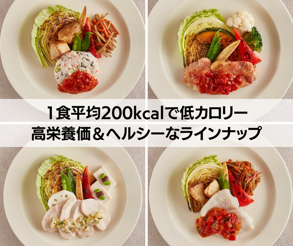レディースダイエットコース